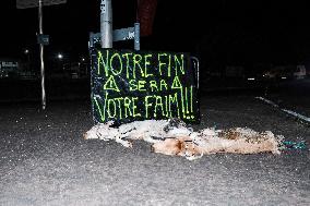 Farmers Protest - Montauban