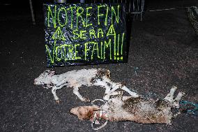 Farmers Protest - Montauban