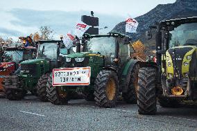 Farmers Demonstration - Grenoble