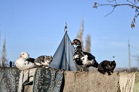 Evacuation of multi-child family from frontline Uspenivka in Zaporizhzhia region