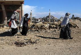 Daily Life In Gaza Amid Hamas-Israel Conflict