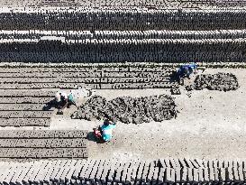 Brick Kiln Workers In Bangladesh