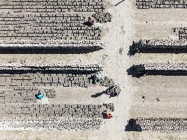 Brick Kiln Workers In Bangladesh