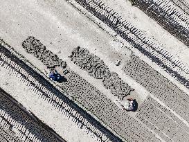 Brick Kiln Workers In Bangladesh