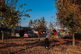 Daily Life In Kashmir