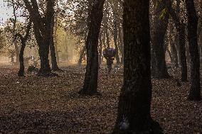 Winters In Kashmir