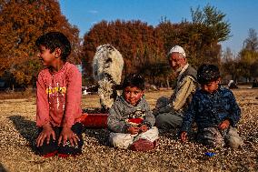 Winters In Kashmir