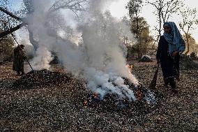 Winters In Kashmir