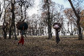 Winters In Kashmir