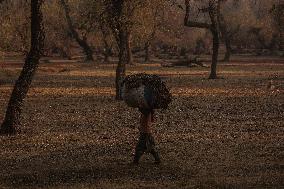 Winters In Kashmir