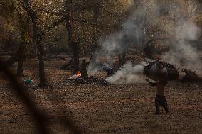 Winters In Kashmir