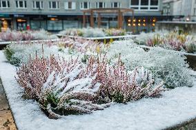 First snow in Tallinn