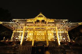 Shrine illumination in Tokyo