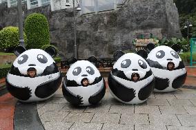 Panda Family in Macao - China