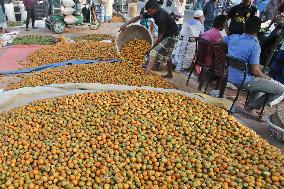 Betel Nuts - Bangladesh