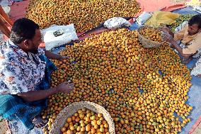 Betel Nuts - Bangladesh