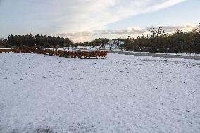 Snowfall In The Netherlands