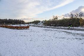 Snowfall In The Netherlands