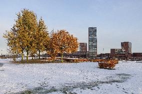 Snowfall In The Netherlands