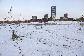 Snowfall In The Netherlands