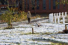 Snowfall In The Netherlands