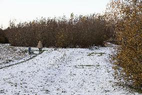 Snowfall In The Netherlands