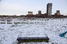 Snowfall In The Netherlands