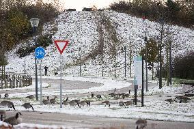 Snowfall In The Netherlands