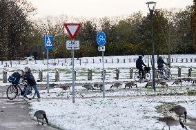 Snowfall In The Netherlands