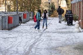 Snowfall In The Netherlands