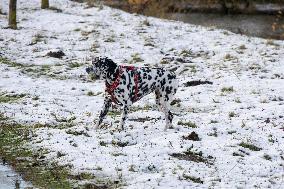 Snowfall In The Netherlands