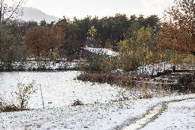 Snowfall In The Netherlands