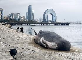 Beached whale installation in Baku