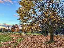 Autumn Season In Toronto