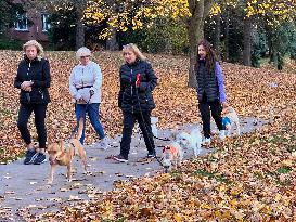 Autumn Season In Toronto