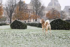 Caetano Snowstorm Hits Paris