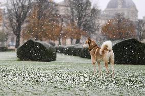 Caetano Snowstorm Hits Paris