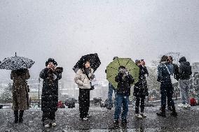 Caetano Snowstorm Hits Paris