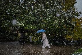 Caetano Snowstorm Hits Paris