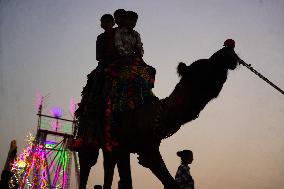 Camel Fair in Pushkar - India