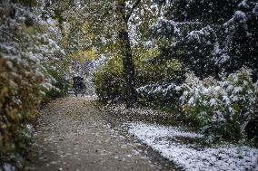 Caetano Snowstorm Hits Paris