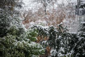 Caetano Snowstorm Hits Paris