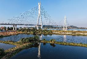 Fulong Xijiang Super Major Bridge - China