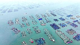 Marine Breeding Base in Ningde