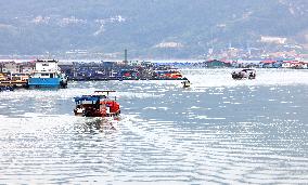 Marine Breeding Base in Ningde