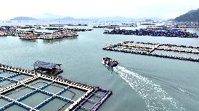 Marine Breeding Base in Ningde