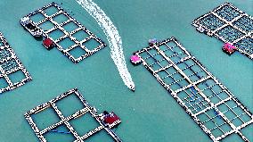 Marine Breeding Base in Ningde