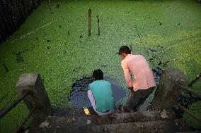 The Story Of A Female Cremator (Dom) Baruipur, West Bengal