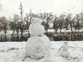 Wet snow in Kyiv