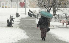 Wet snow in Kyiv